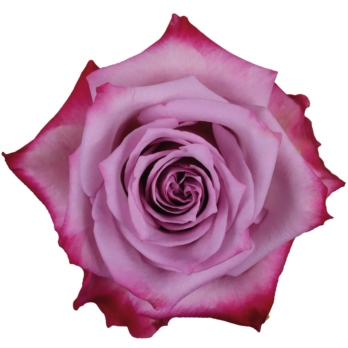 Deep Purple