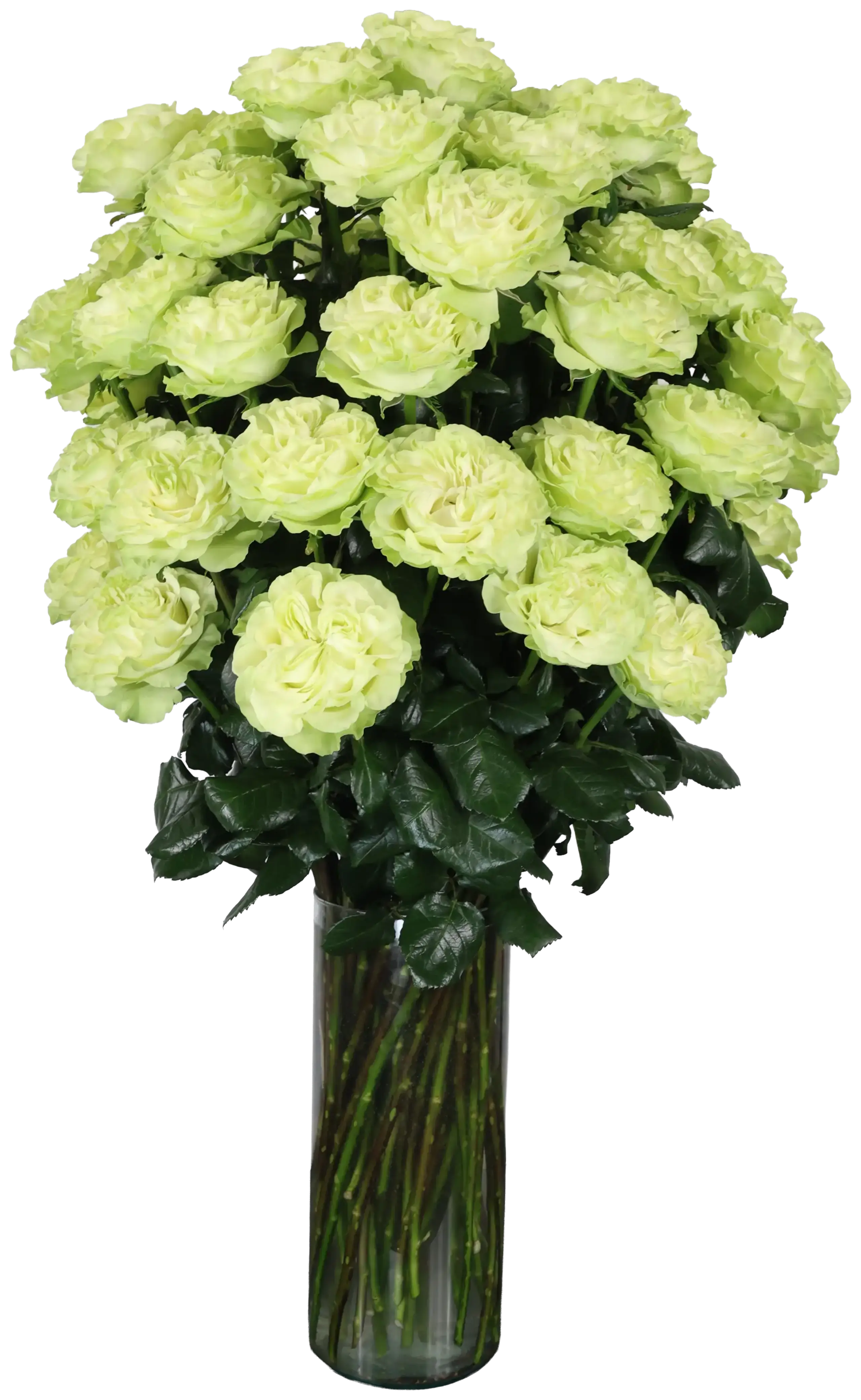 A bunch of yellow roses in a glass vase