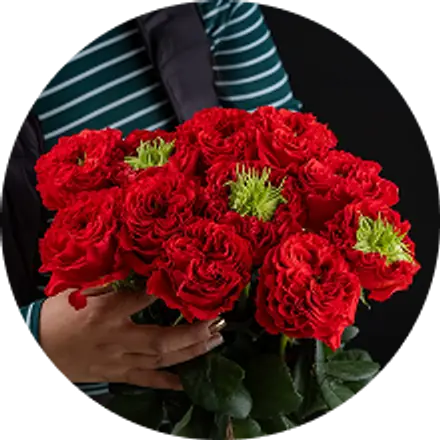 A grower holding a bunch of red roses